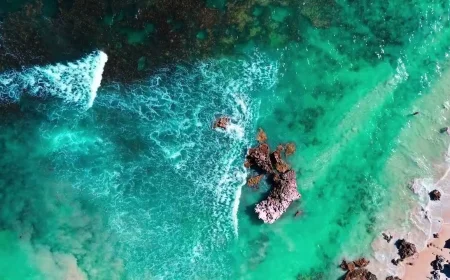  Where the Ocean Breathes in Green